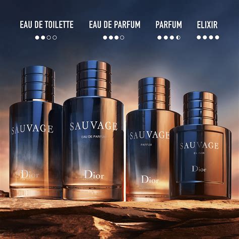 dior sauvage parfum alternative|best dior sauvage elixir clone.